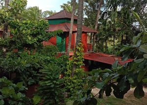 Divine Homestay